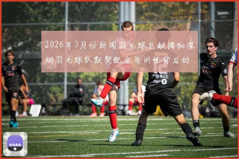 2026年3月份新闻羽毛球巨献揭秘深圳羽毛球队默契配合与训练背后的故事